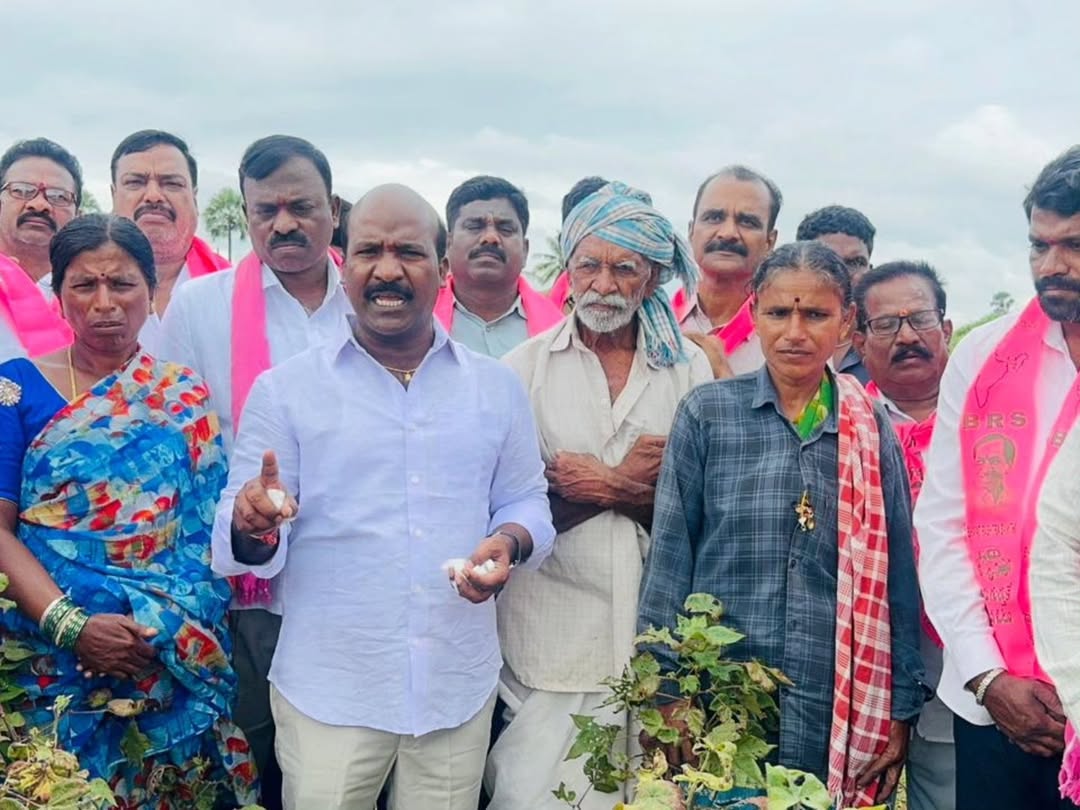 Cotton farmers in distress: BRS leader slams Congress govt for delaying cotton purchases