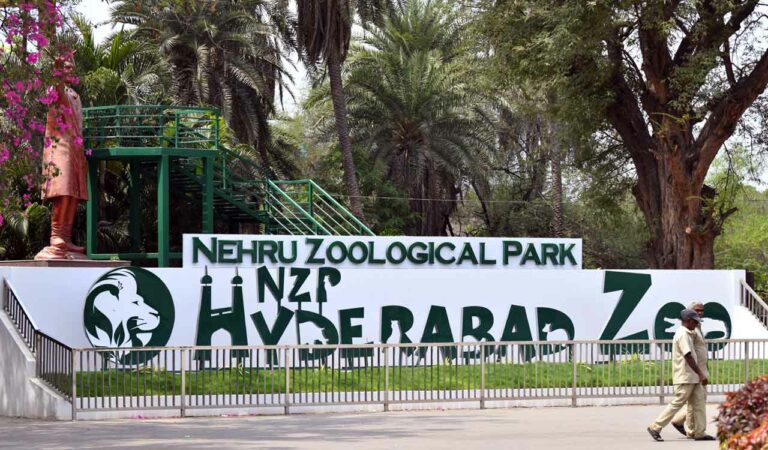 What’s on Hyderabad Zoo’s menu? A feast for every inmate daily