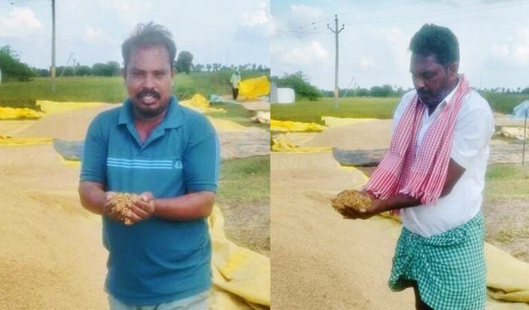 Paddy procurement: Telangana farmers face operational challenges, untimely rains