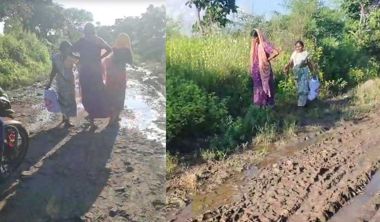 Watch: Pregnant woman forced to walk 2 km on muddy road to reach ambulance in Sangareddy