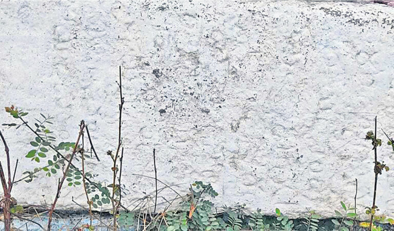 Rashtrakuta-era inscription unearthed in Siddipet’s Nagapuri village