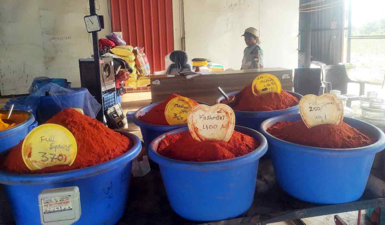 Rat faeces and filth found in Telangana spice units