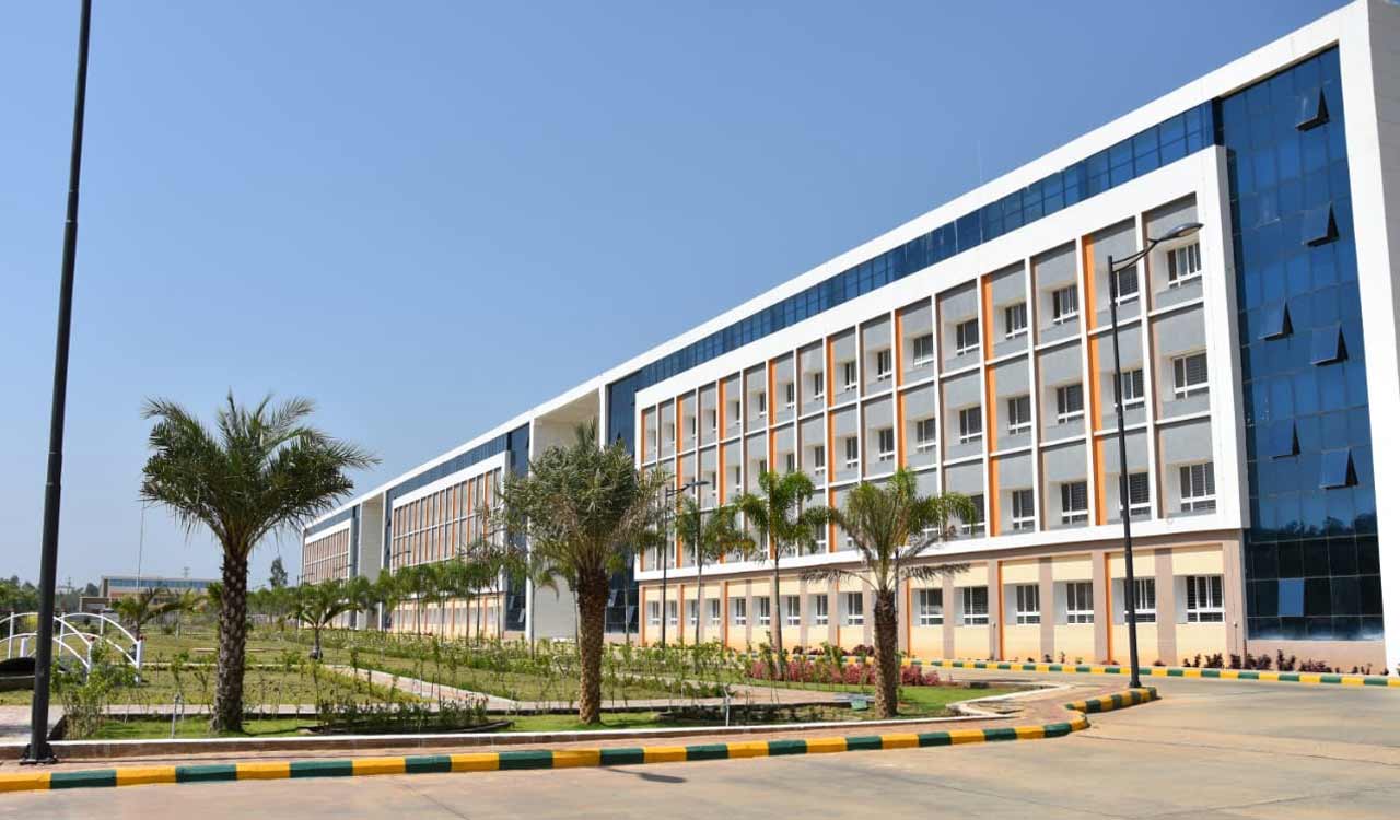 Telangana Horticultural varsity to launch ‘Horticulture to every Household’ programme