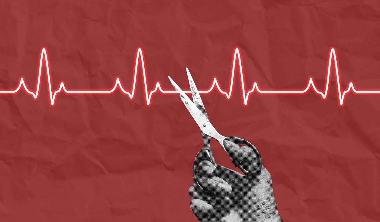 Editorial: Simplify norms for euthanasia