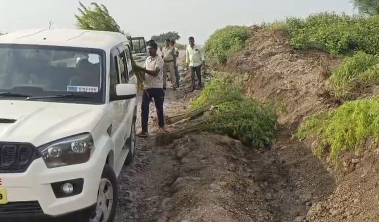 Excise police attacked by tribal farmers during ganja raid in Narayankhed