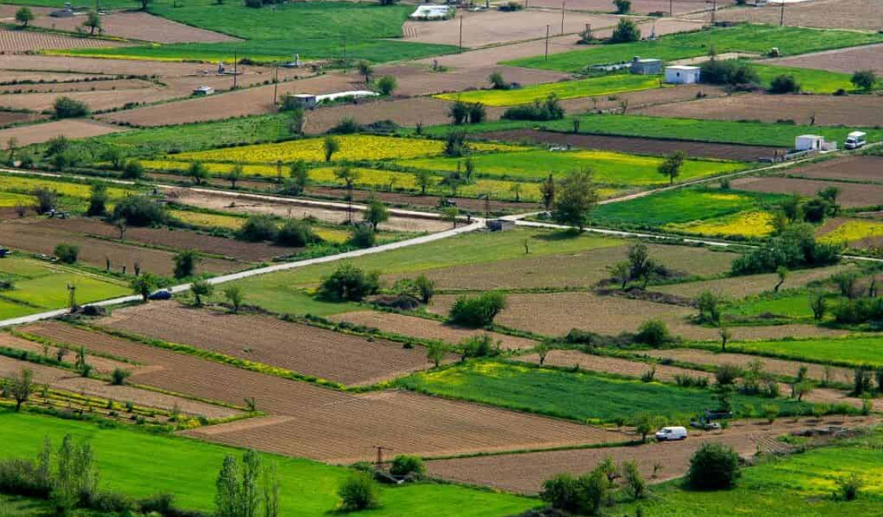 Swagruha Corporation to e-auction open plots in Kurmalguda, Thorrur, Bahadurpally