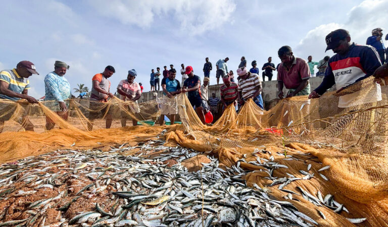 India-UK CETA to boost Indian seafood exports, says MPEDA 