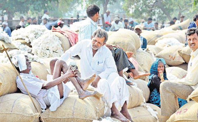 Telangana: Farmers, Rythu Sangham stage protest demanding cotton procurement