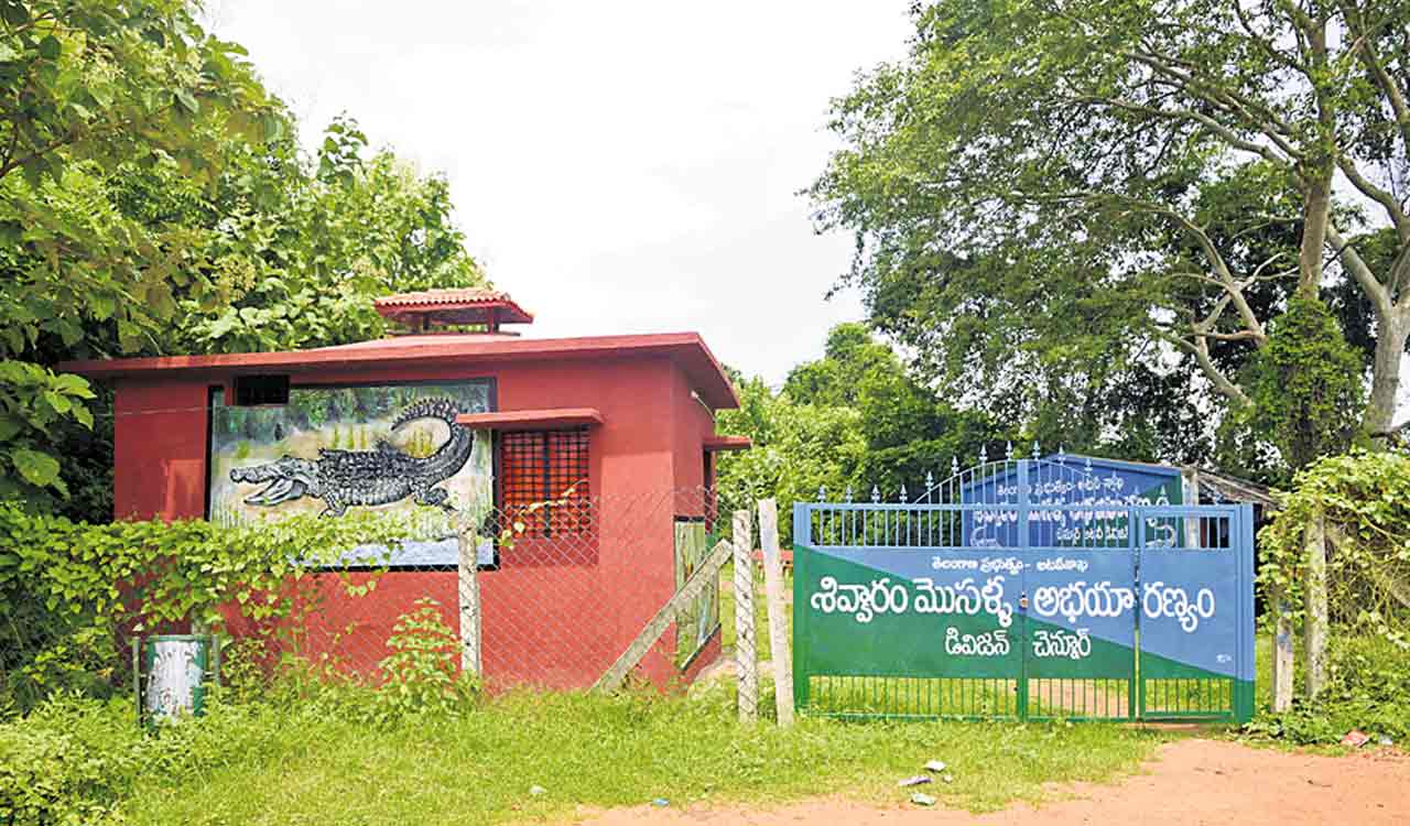 Shivvaram Sanctuary could become major tourist spot: Experts