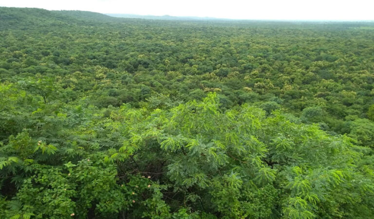 Telangana HC warns govt over laxity in filing counter-affidavits on radar station case