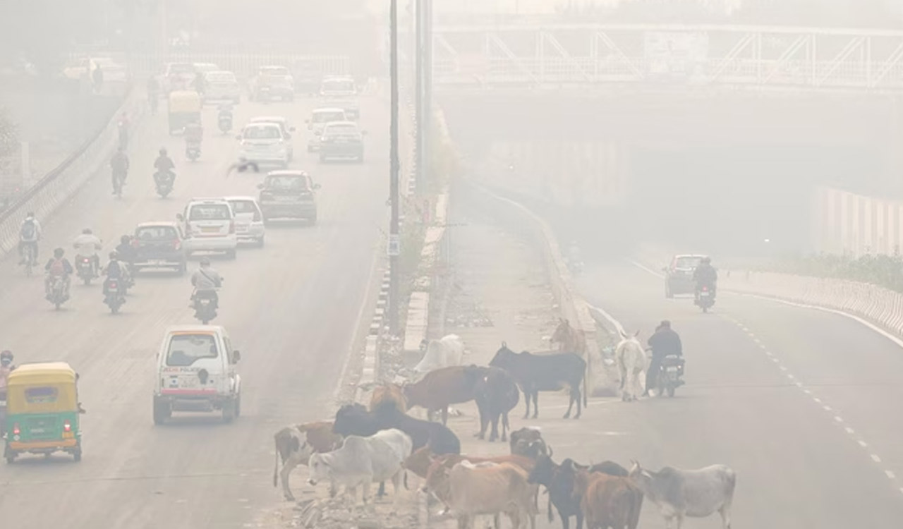 Delhi chokes as air quality plunges to ‘severe’