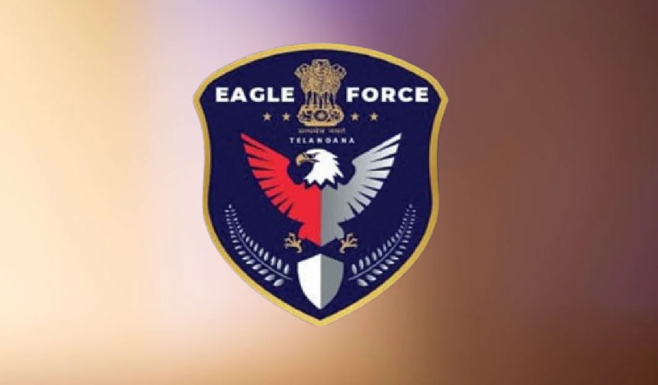 High level coordination and ground surveillance into nationwide crackdown – EAGLE Force