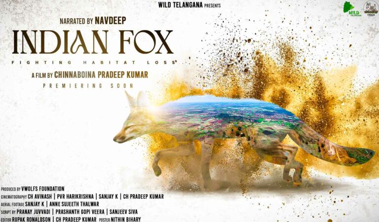 First Telugu wildlife documentary on Ramnathgudpalle grasslands to premier soon