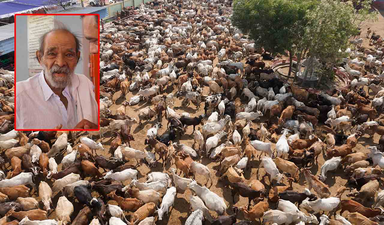 Hyderabad’s barefoot cow protector started Gau Nivas celebrates 25 years
