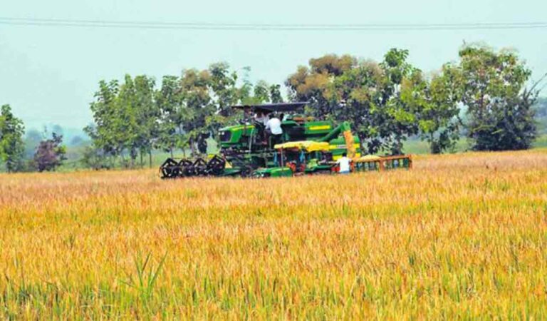 Huge demand for track harvesters as muddy fields hinder paddy harvest