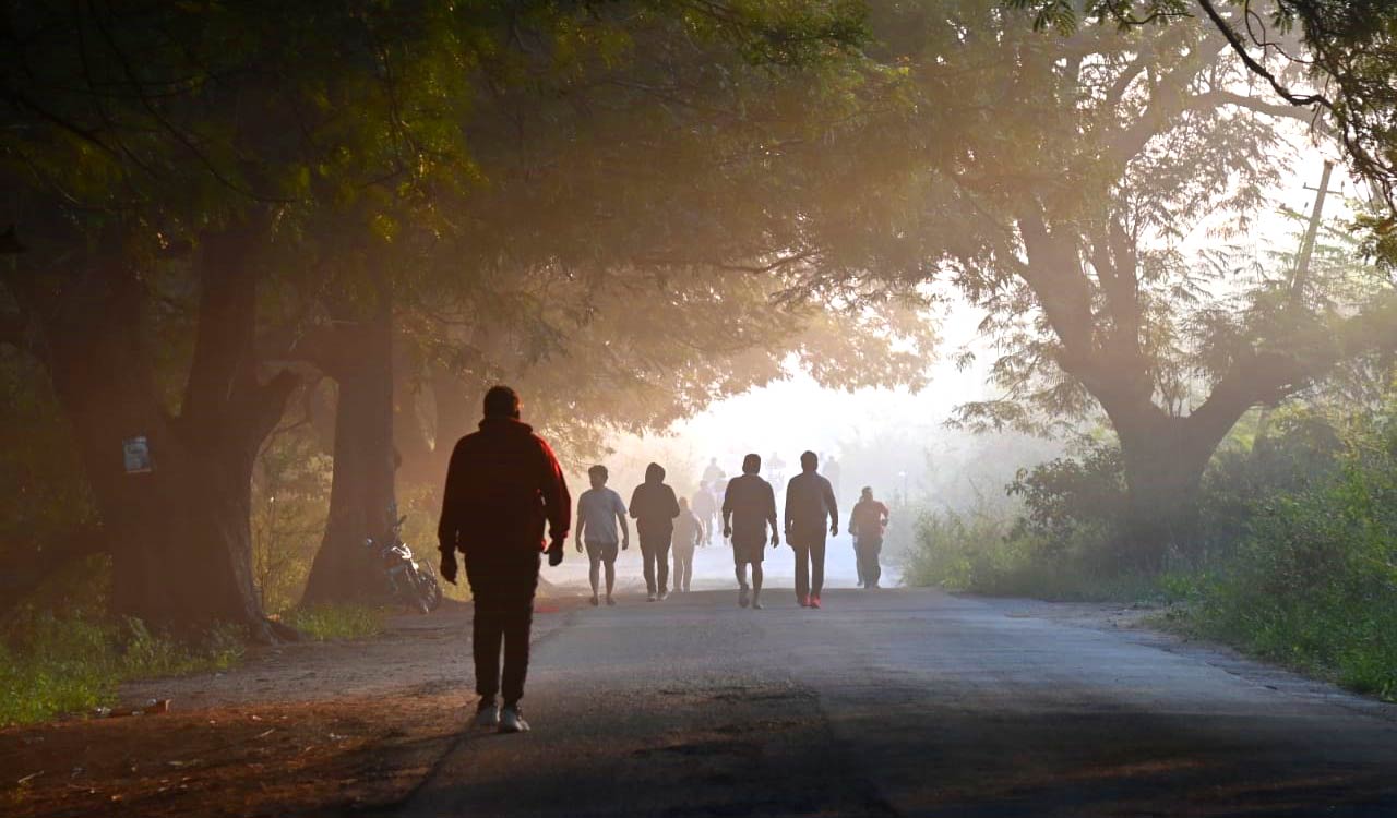 Hyderabad wakes up to misty winter morning as temperatures dip across Telangana