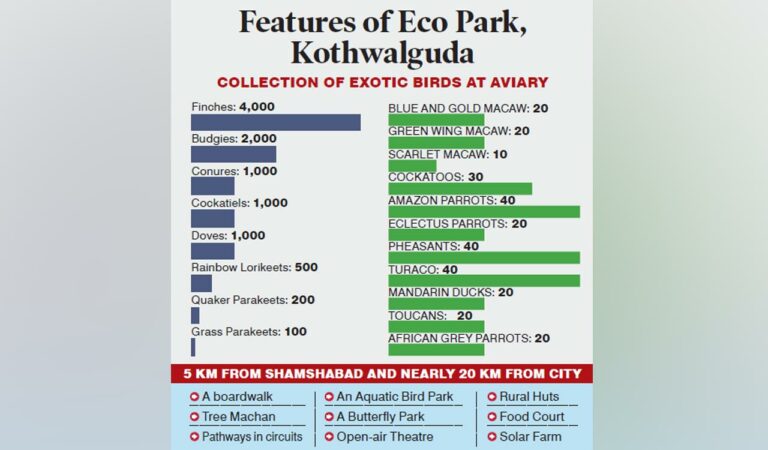 KTR’s vision for India’s largest aviary at Eco Park in Hyderabad to be unveiled soon