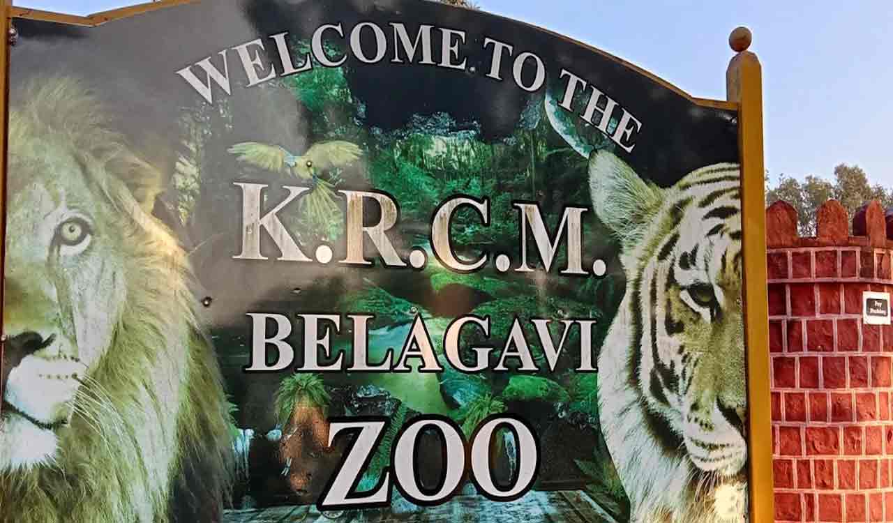 Karnataka: Belagavi Zoo blackbuck deaths rise to 29; bacterial outbreak suspected