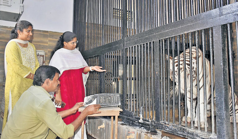 Cozy winter ahead for Hyderabad’s Nehru zoo park inmates