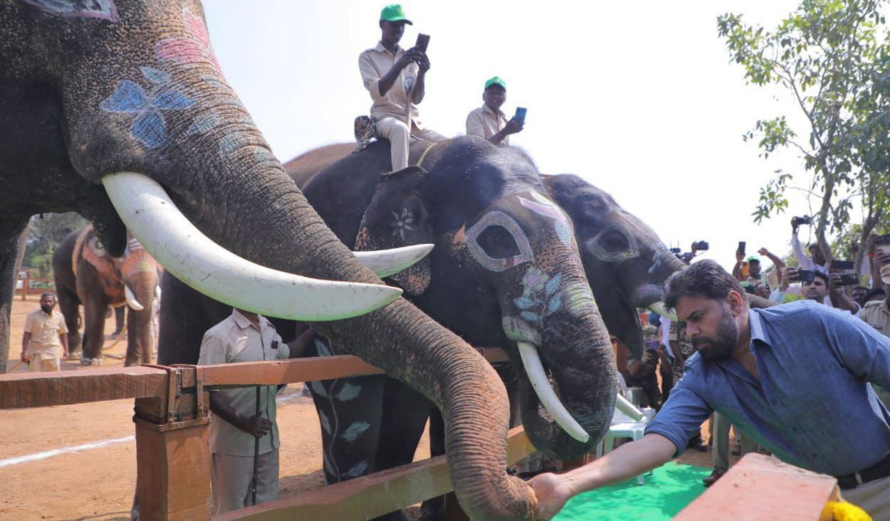 Pawan Kalyan inaugurates Kumki elephant training centre in Chittoor