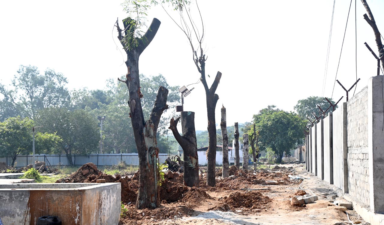 Hyderabad: Over 10,000 trees to face the axe to make way for SCB elevated corridors