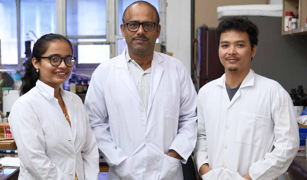 IIT Guwahati researchers develop novel material to detect fuel adulteration and clean oil spill