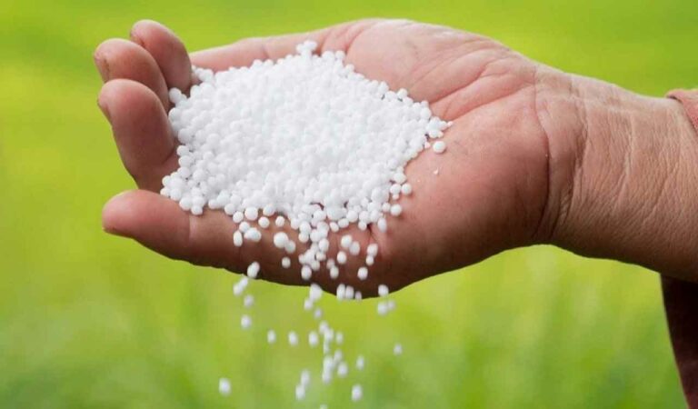 Farmers queue up for urea again in Palakurthy as shortage returns across Telangana