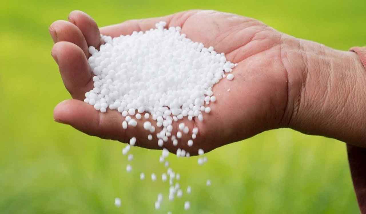 Farmers queue up for urea again in Palakurthy as shortage returns across Telangana