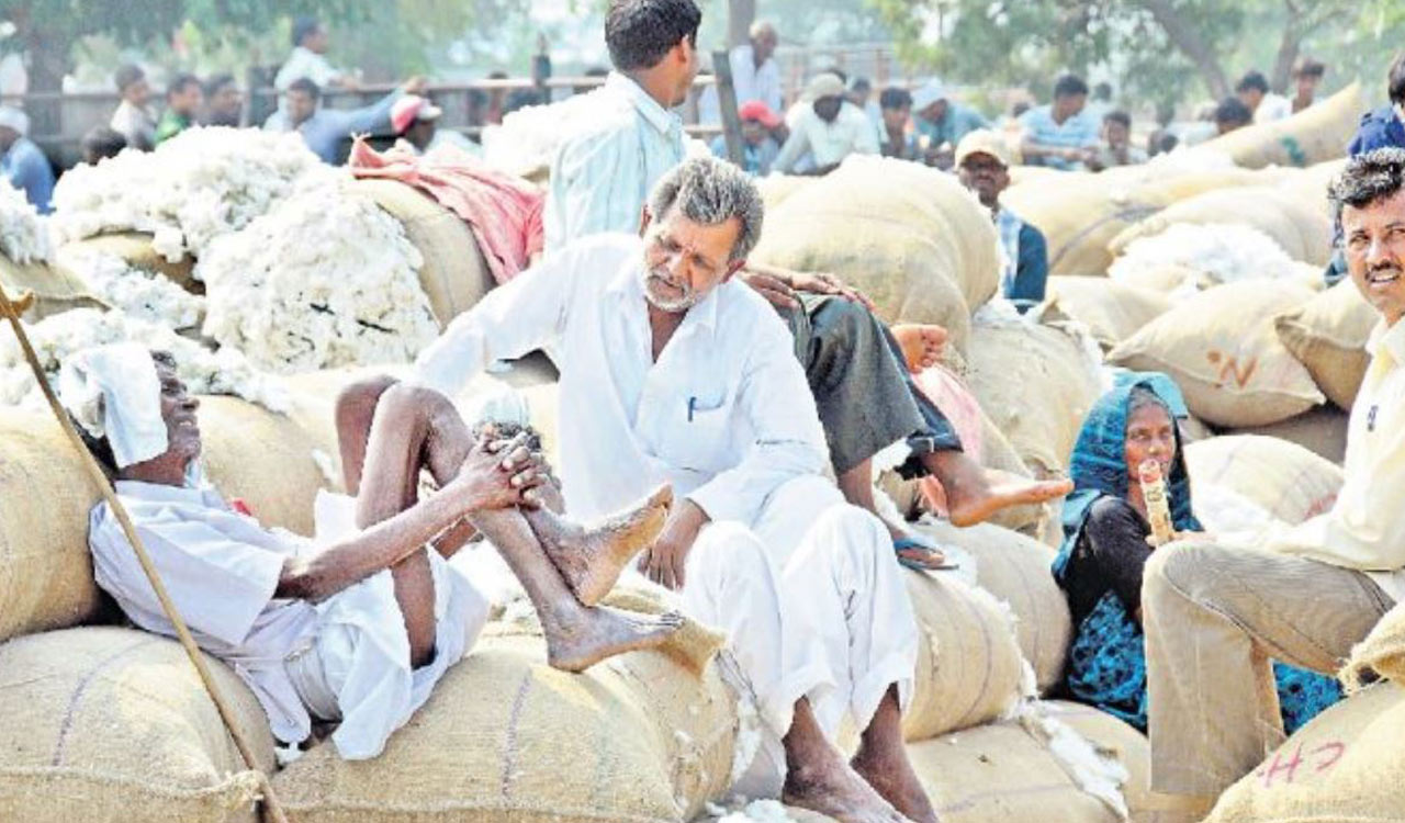 Cotton farmers protest CCI restrictions and Kapas Kisan app glitches amid Kharif chaos