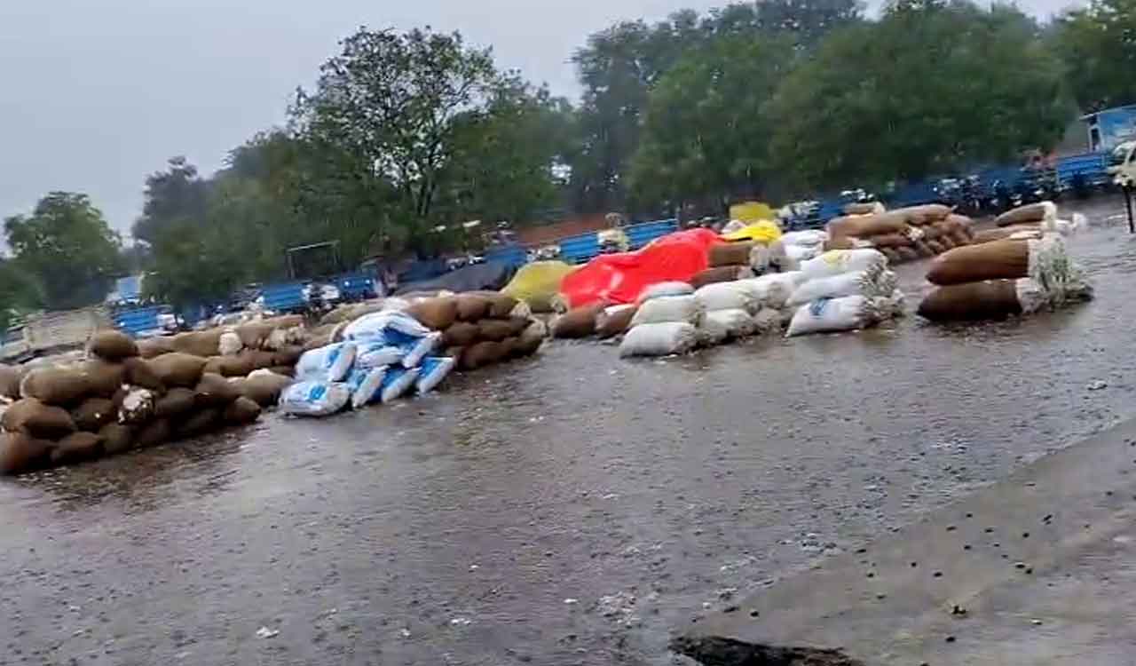 Telangana: Sudden rains soak cotton, maize at Warangal market
