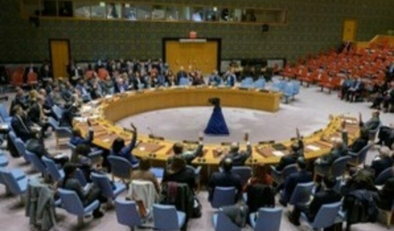 UNSC approves resolution endorsing Trump’s Gaza peace plan and international force