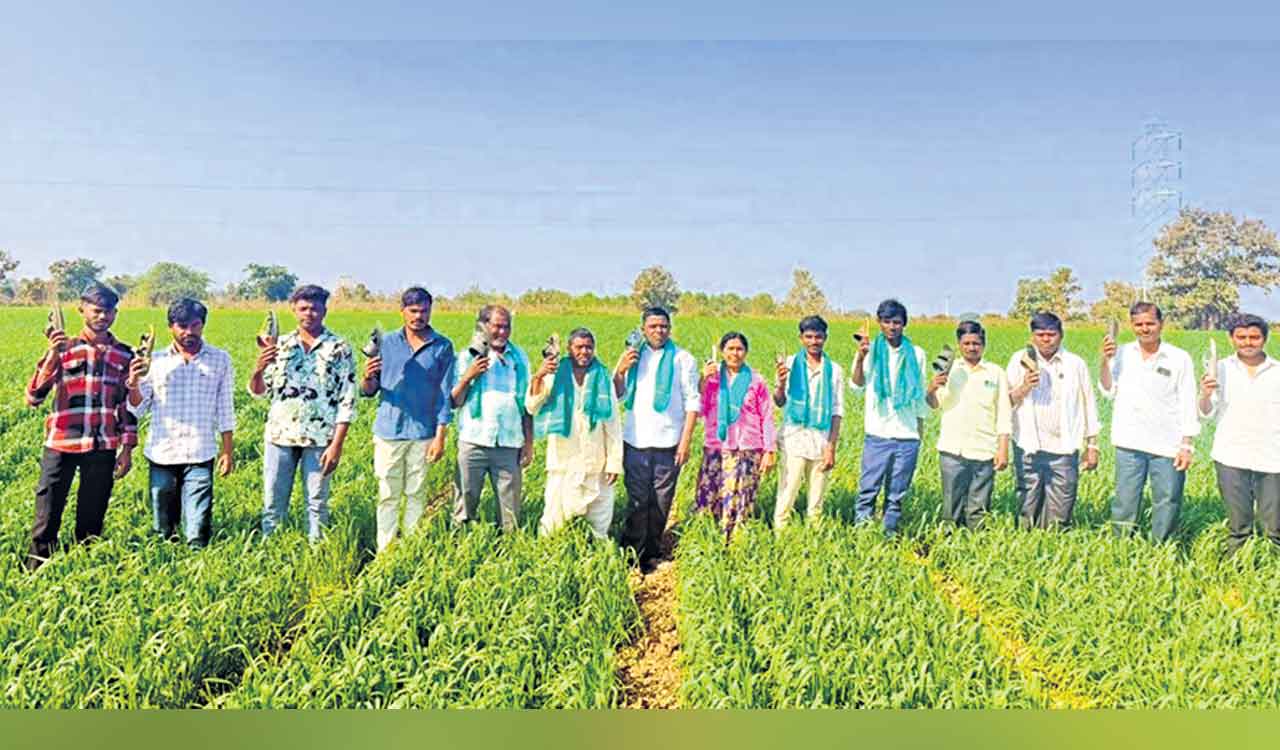 Two years of Congress rule: Adilabad farmers slap themselves with footwear