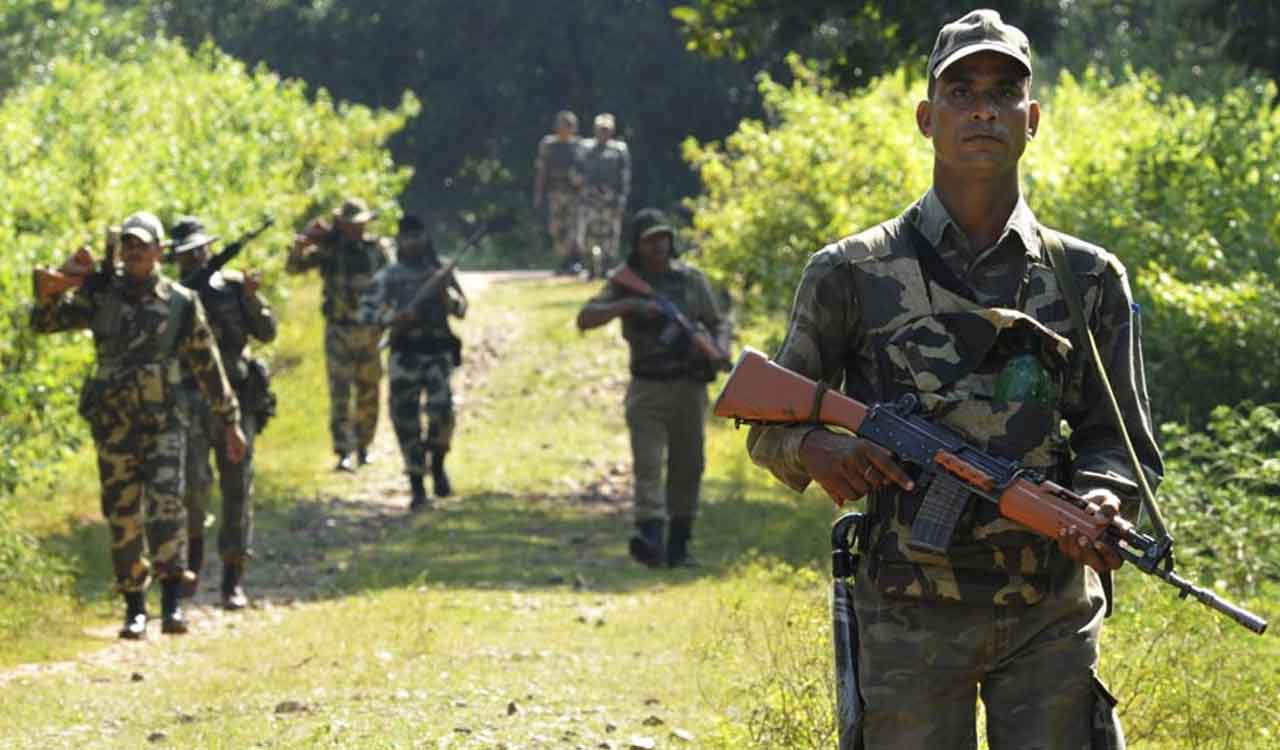 Maoist area committee member with Rs 5 lakh bounty killed in Bijapur encounter