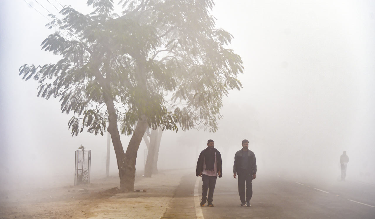 Rajasthan: Fog in parts of Udaipur, Kota; Karauli coldest at 3.1 degrees C