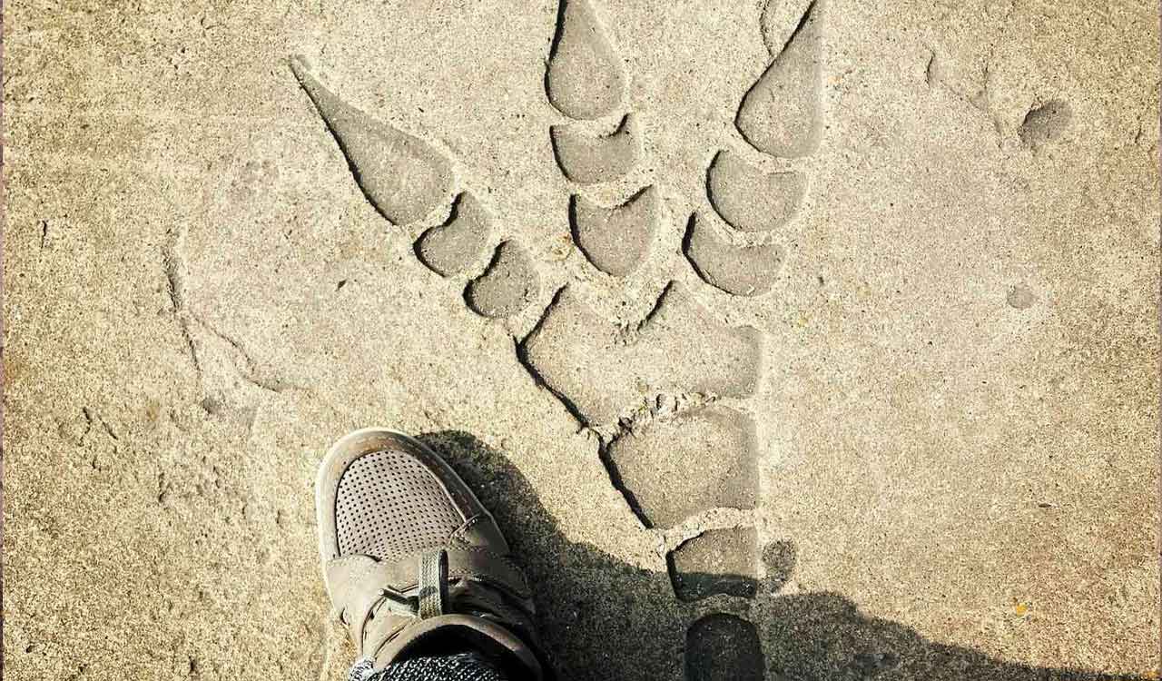 Scientists document largest trove of dinosaur footprints in central Bolivia