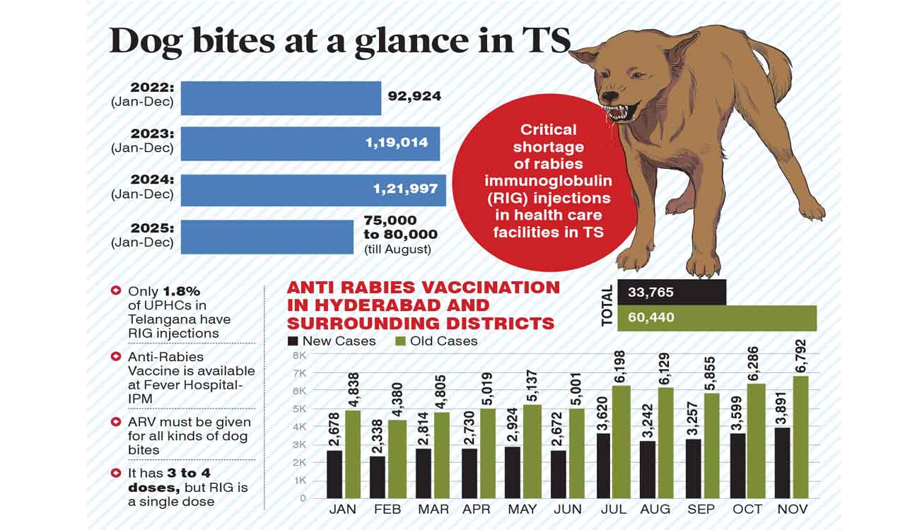 Concerns over fake rabies vaccine won’t affect govt hospitals: Officials