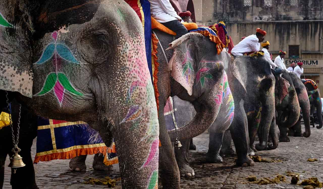 Owaisi urges Telangana govt for permanent elephant