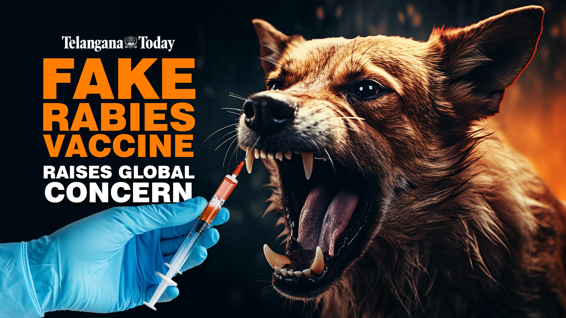 Watch: Fake Rabies Vaccine: How an Alert from Hyderabad Became a Global Issue
