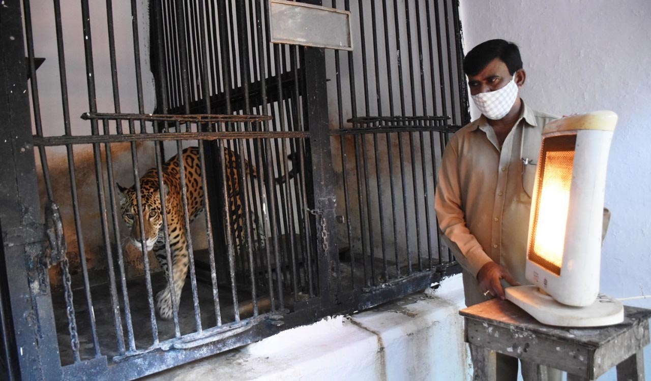 Nehru Zoo adds heaters and warm shelters as cold wave hits Hyderabad
