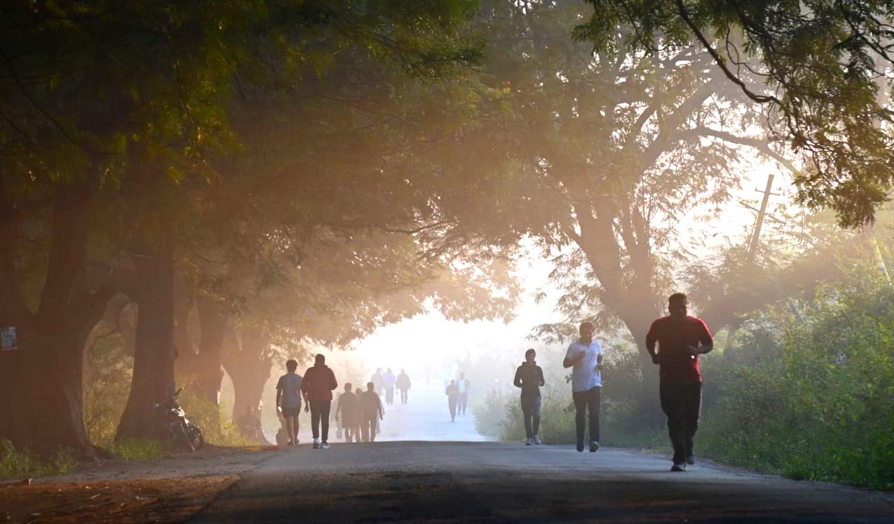 Hyderabad shivers as cold wave plunges mercury to a seven-year-low at 6.3 degree celsius