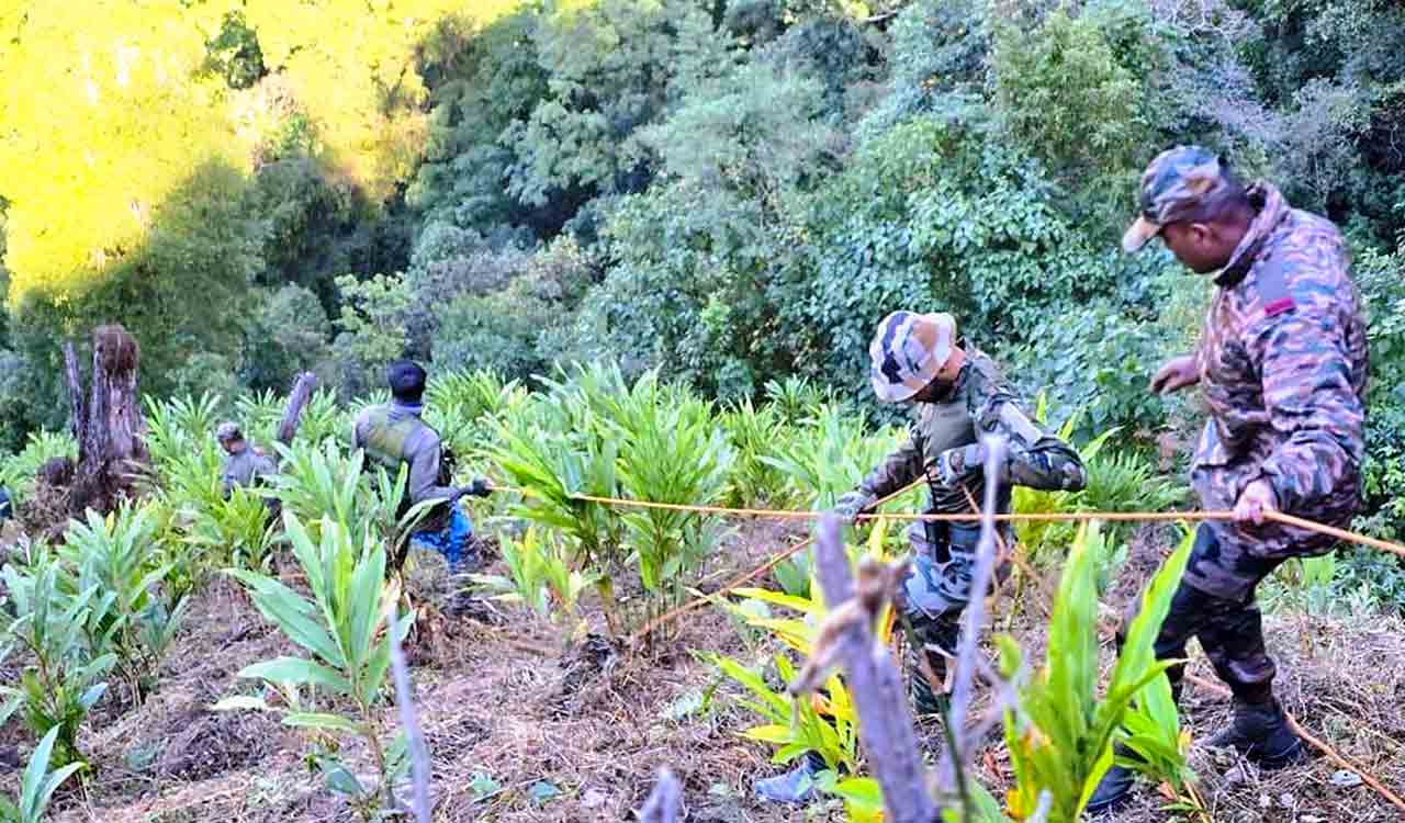 PoK woman crosses into Poonch along LoC after argument with father