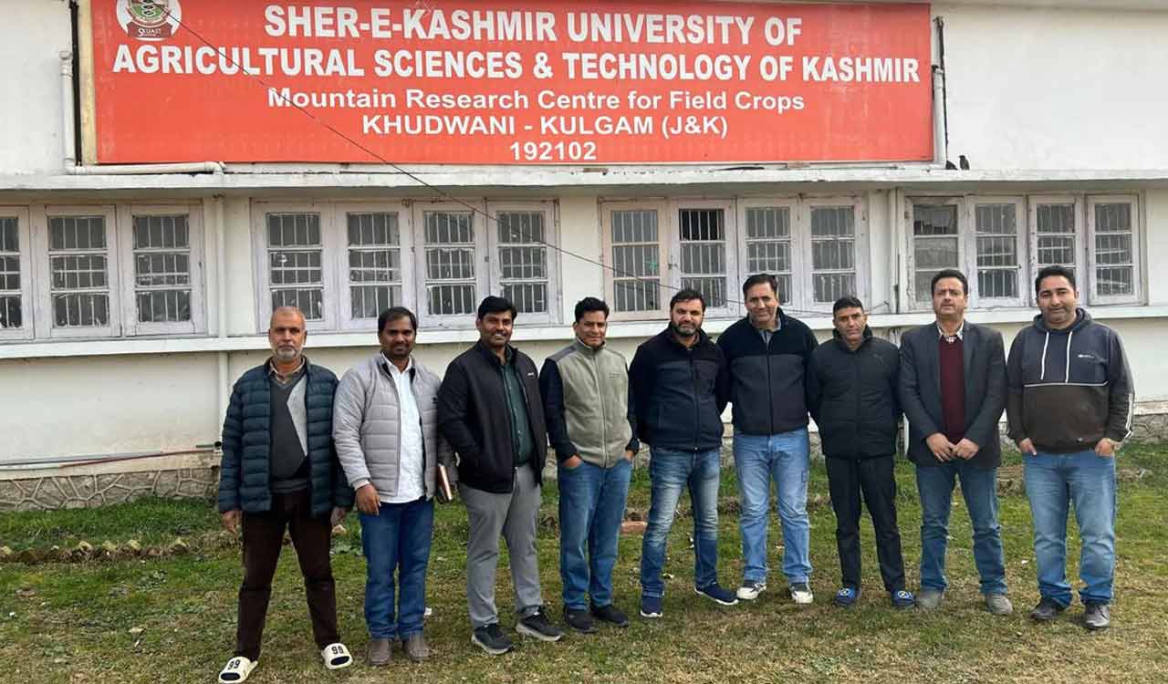 ICRISAT’s climate-resilient pigeonpea shows promise in Kashmir high-altitude trials