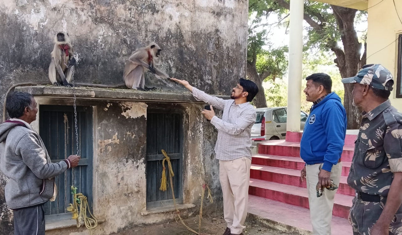 Forest officials rescue langurs from rice mills in Jagtial