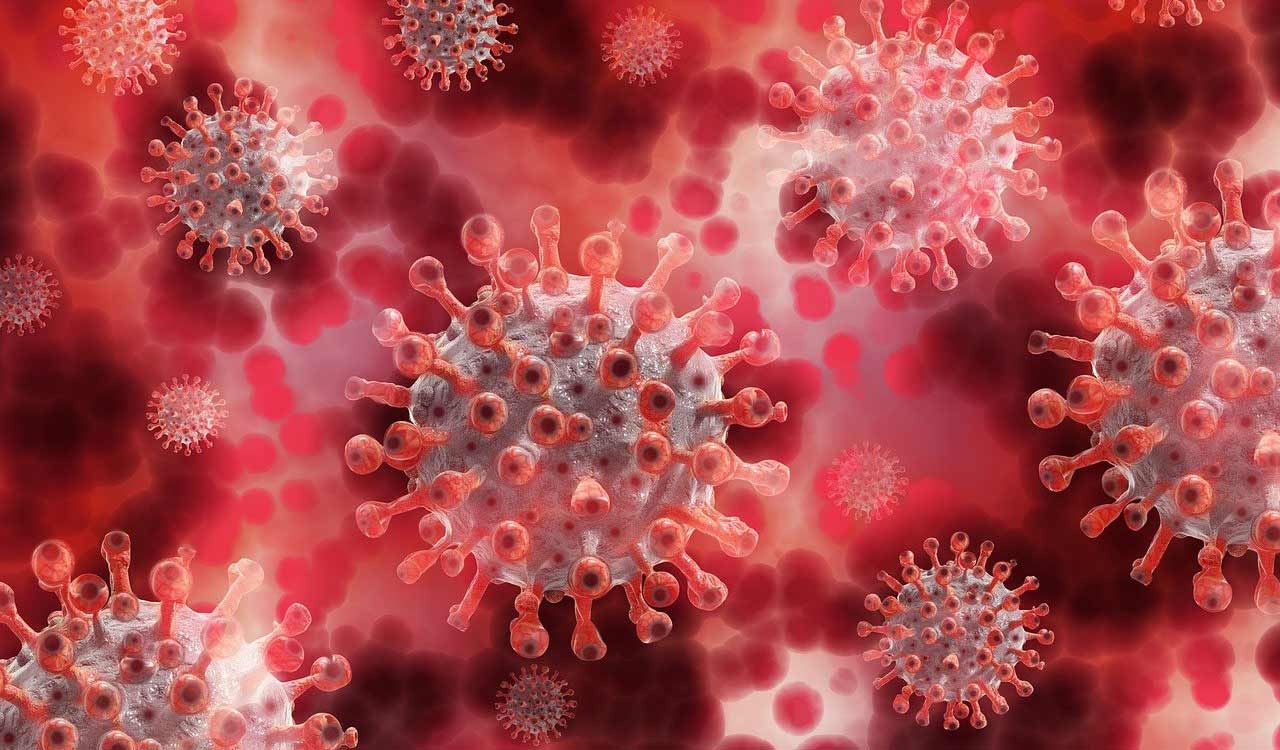 AIIMS study finds no link between COVID-19 vaccines and sudden deaths