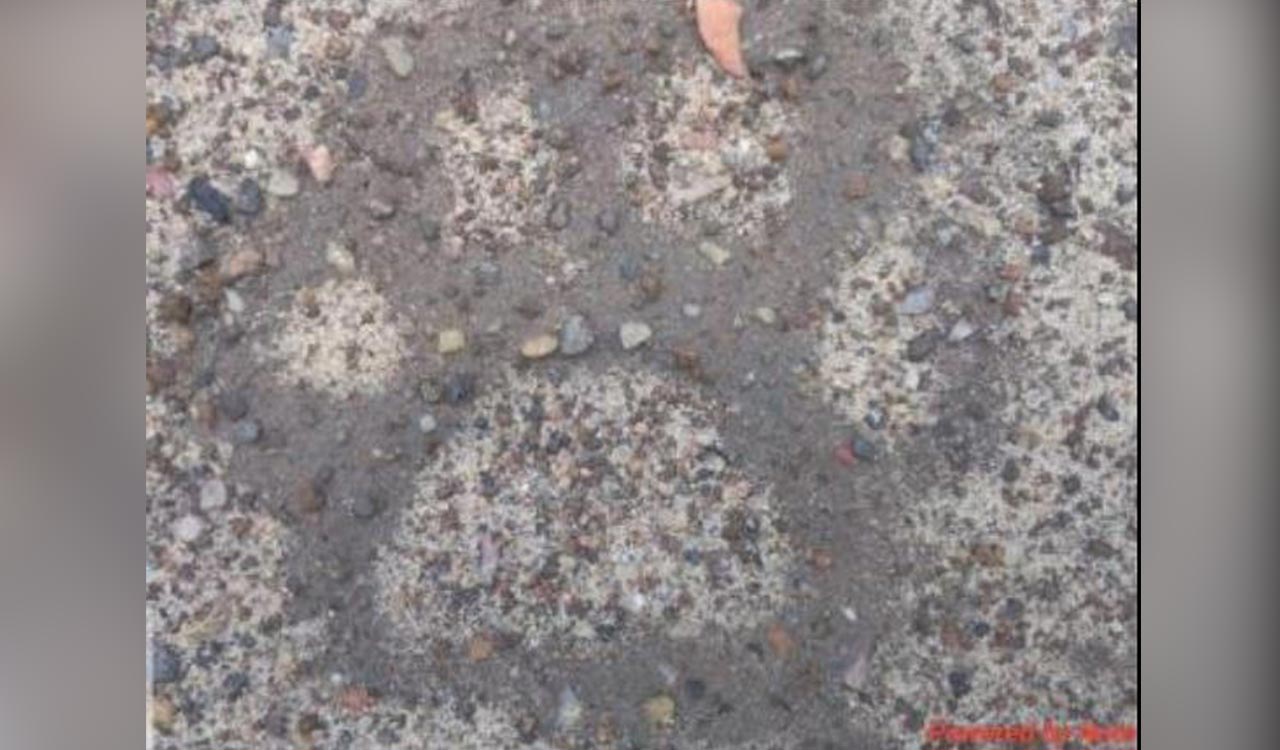 Mancherial: Villagers urged to verify pugmarks before sharing on social media