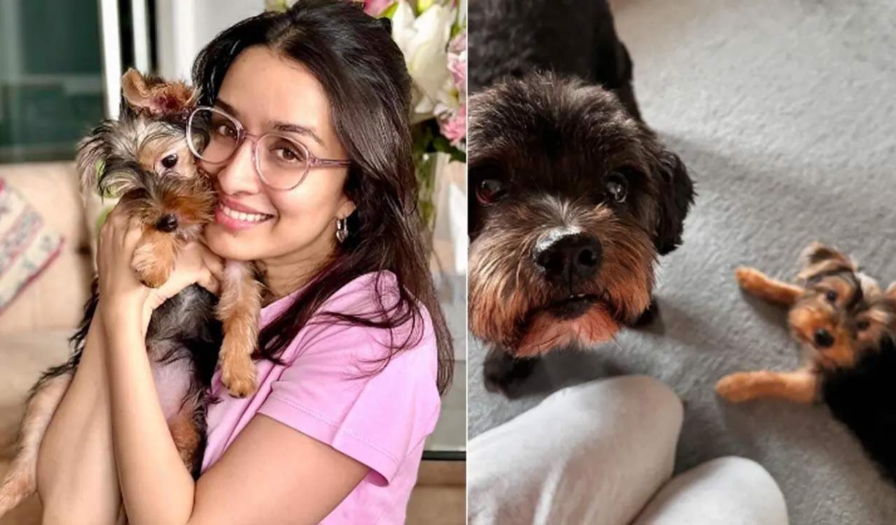Shraddha Kapoor showers love on fur baby after returning home from 16-day break