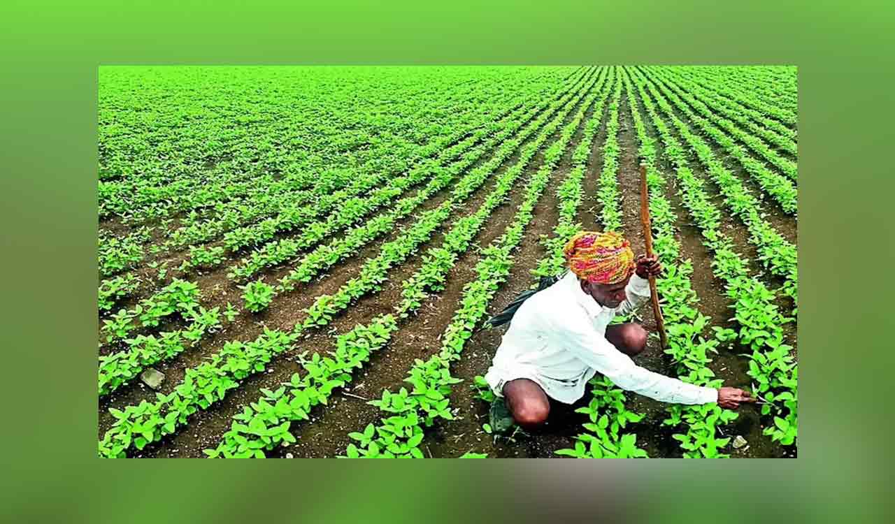 Ranchi’s ICAR-Research Complex says farmers benefitting from its two soybean, snow pea varieties