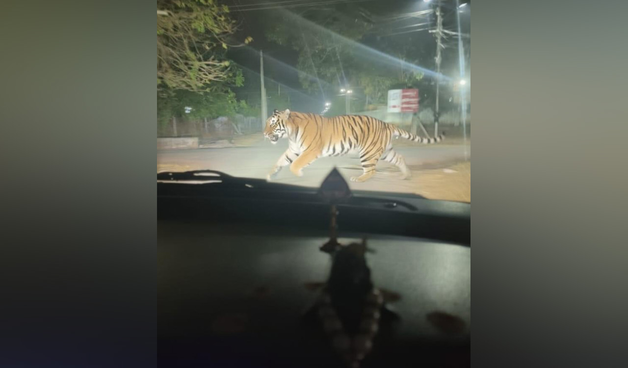 AI-generated tiger image sparks panic in Naspur, man booked after complaint from forest officials