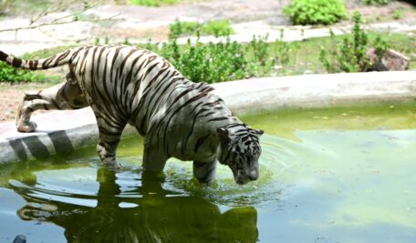 Telangana govt signs pact with Ambani-backed Vantara for new Future City zoo