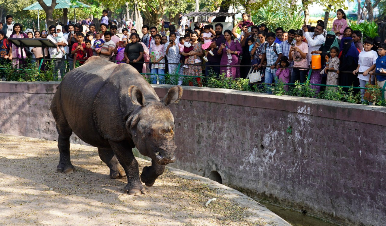 Christmas holiday sees record footfall at Hyderabad zoo